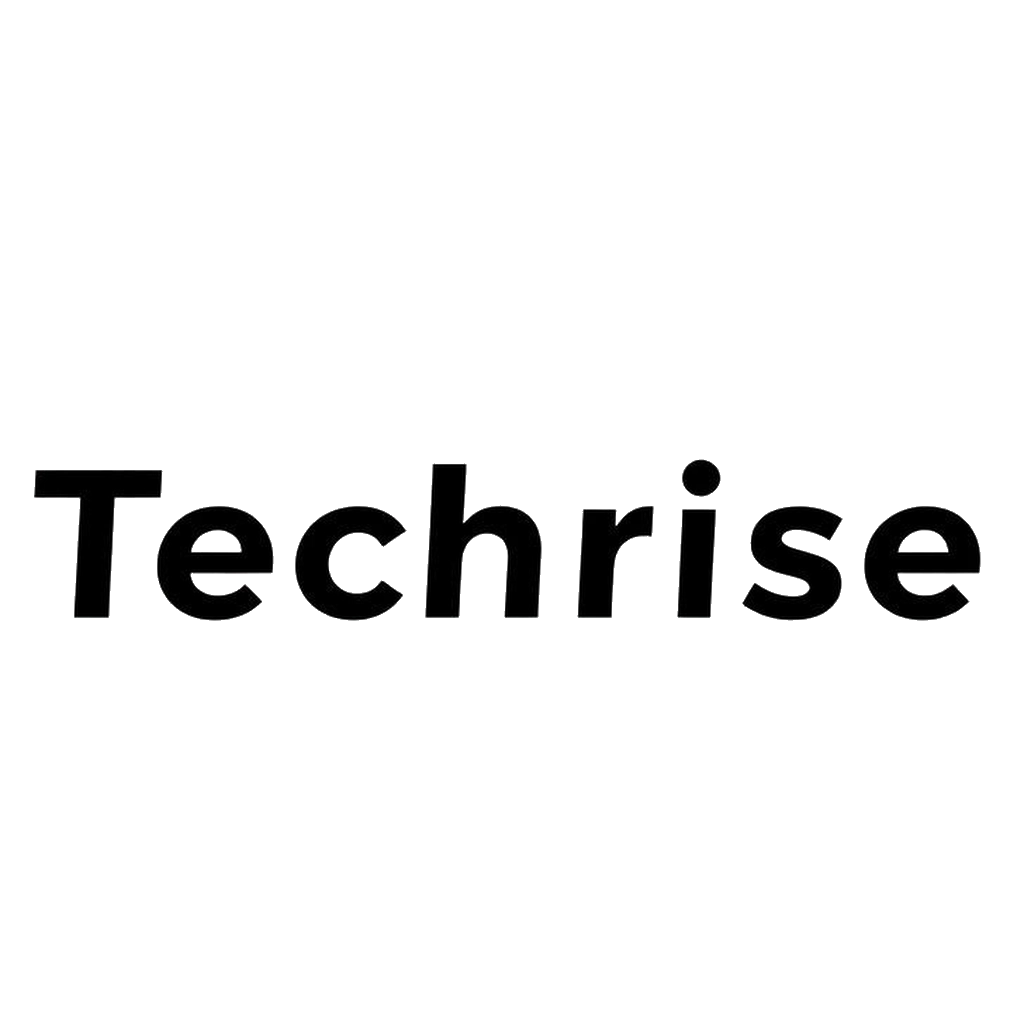 Techrise logo